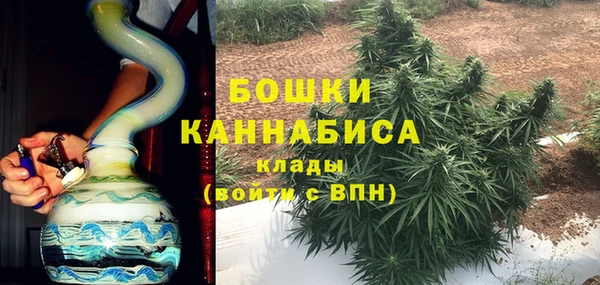 бошки Белокуриха