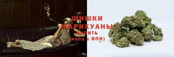 бошки Белокуриха