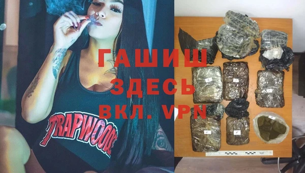бошки Белокуриха