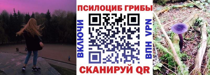Псилоцибиновые грибы Cubensis Беломорск